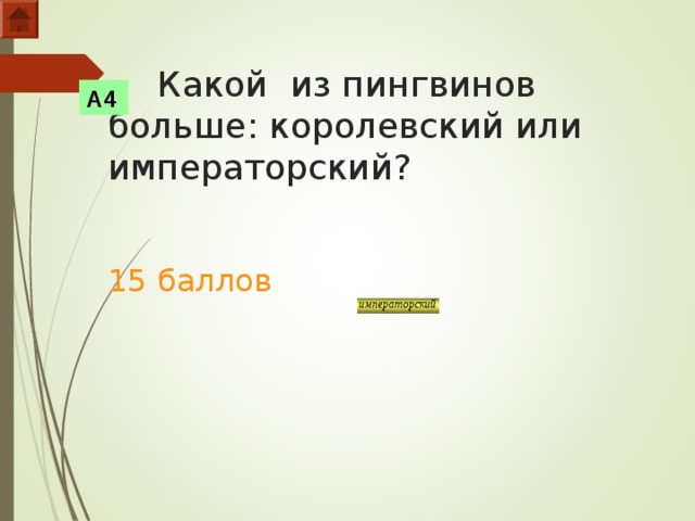  Какой из пингвинов больше: королевский или императорский?    15 баллов А4  