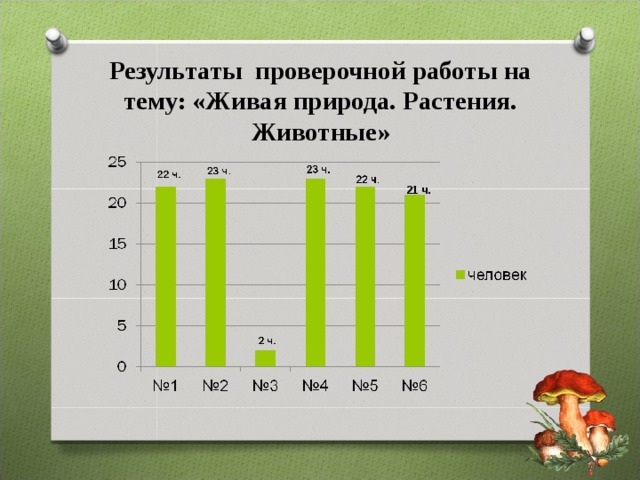 Результаты проверочной работы на тему: «Живая природа. Растения. Животные» 21 ч. 