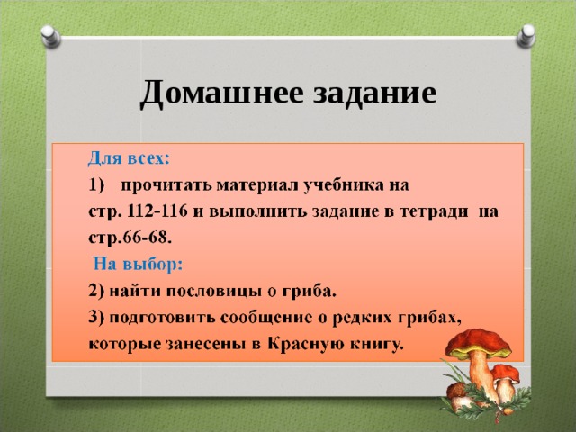 Домашнее задание 