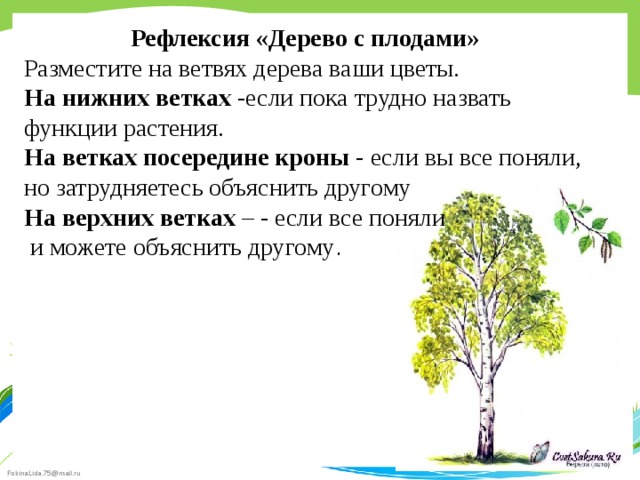 Рефлексия «Дерево с плодами» Разместите на ветвях дерева ваши цветы. На нижних ветках -если пока трудно назвать функции растения. На ветках посередине кроны - если вы все поняли, но затрудняетесь объяснить другому На верхних ветках – - если все поняли  и можете объяснить другому . 