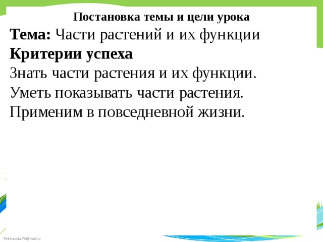Постановка темы и цели урока Тема: Части растений и их функции Критерии успеха Знать части растения и их функции. Уметь показывать части растения. Применим в повседневной жизни. 