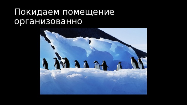 Покидаем помещение организованно 