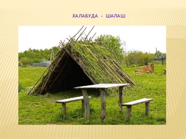 ХАЛАБУДА - ШАЛАШ 