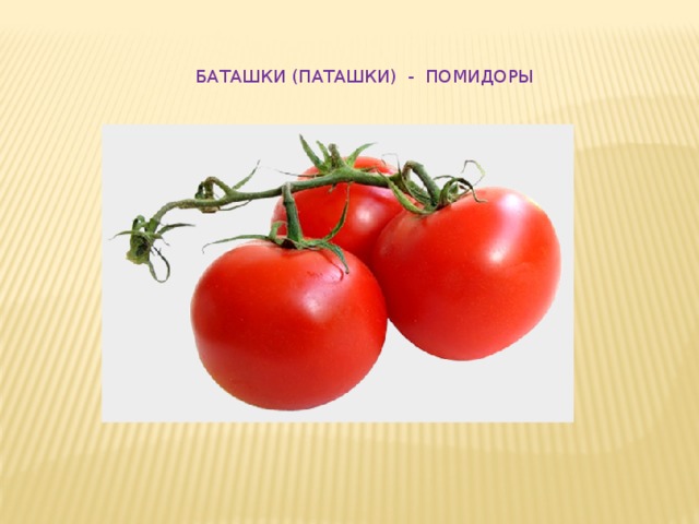 БАТАШКИ (ПАТАШКИ) - ПОМИДОРЫ 