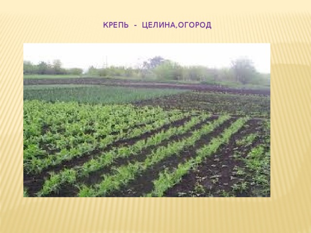 КРЕПЬ - ЦЕЛИНА,ОГОРОД 