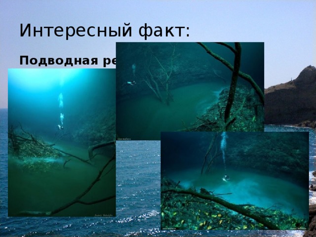 Интересный факт: Подводная река 
