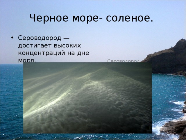Черное море- соленое. Сероводород — достигает высоких концентраций на дне моря. Сероводород 