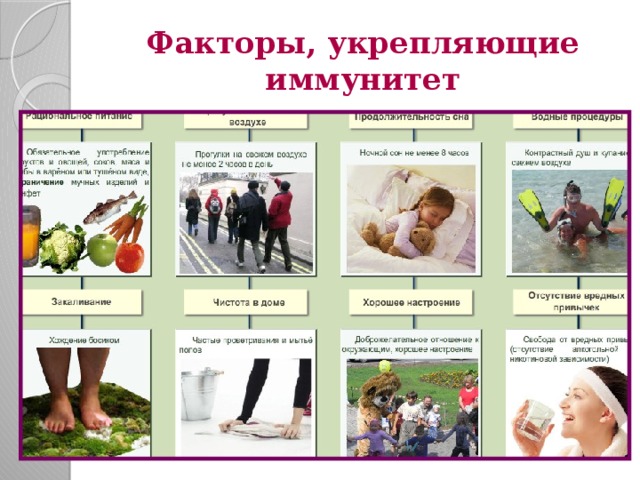 Факторы, укрепляющие иммунитет 