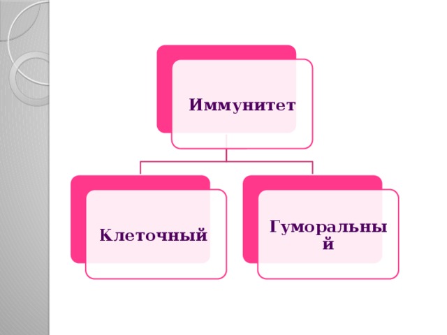 Иммунитет Клеточный Гуморальный 