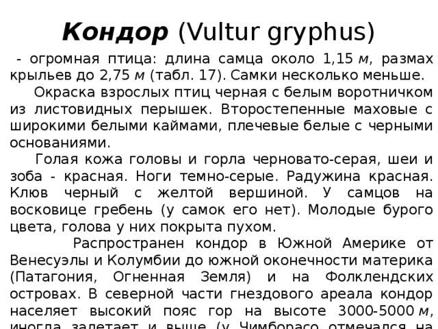Кондор  (Vultur gryphus)  - огромная птица: длина самца около 1,15  м , размах крыльев до 2,75  м  (табл. 17). Самки несколько меньше.  Окраска взрослых птиц черная с белым воротничком из листовидных перышек. Второстепенные маховые с широкими белыми каймами, плечевые белые с черными основаниями.  Голая кожа головы и горла черновато-серая, шеи и зоба - красная. Ноги темно-серые. Радужина красная. Клюв черный с желтой вершиной. У самцов на восковице гребень (у самок его нет). Молодые бурого цвета, голова у них покрыта пухом.  Распространен кондор в Южной Америке от Венесуэлы и Колумбии до южной оконечности материка (Патагония, Огненная Земля) и на Фолклендских островах. В северной части гнездового ареала кондор населяет высокий пояс гор на высоте 3000-5000  м , иногда залетает и выше (у Чимборасо отмечался на высоте более 7000  м ). В южной части гнездовой области встречается и в предгорьях, и на равнинах. 
