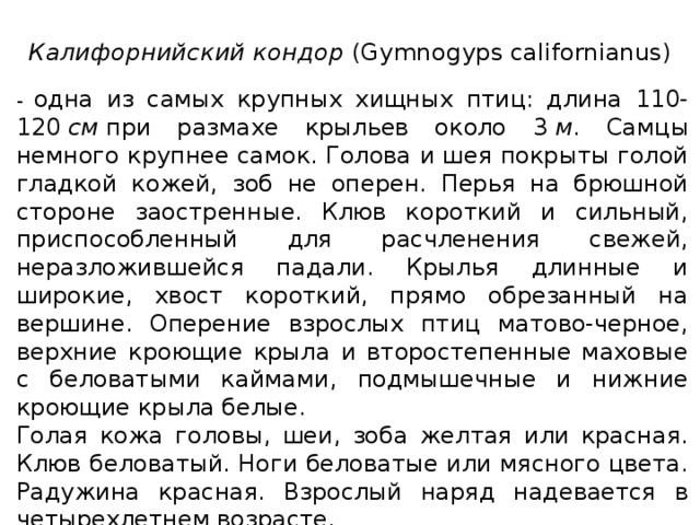 Калифорнийский кондор  (Gymnogyps californianus) - одна из самых крупных хищных птиц: длина 110-120  см  при размахе крыльев около 3  м . Самцы немного крупнее самок. Голова и шея покрыты голой гладкой кожей, зоб не оперен. Перья на брюшной стороне заостренные. Клюв короткий и сильный, приспособленный для расчленения свежей, неразложившейся падали. Крылья длинные и широкие, хвост короткий, прямо обрезанный на вершине. Оперение взрослых птиц матово-черное, верхние кроющие крыла и второстепенные маховые с беловатыми каймами, подмышечные и нижние кроющие крыла белые. Голая кожа головы, шеи, зоба желтая или красная. Клюв беловатый. Ноги беловатые или мясного цвета. Радужина красная. Взрослый наряд надевается в четырехлетнем возрасте. Молодые птицы общей буроватой окраски со светлыми каймами перьев. На спинной стороне у них чешуйчатый рисунок, подкрылья без белого цвета. 