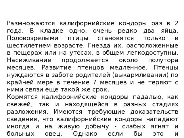 Размножаются калифорнийские кондоры раз в 2 года. В кладке одно, очень редко два яйца. Половозрелыми птицы становятся только в шестилетнем возрасте. Гнезда их, расположенные в пещерах или на утесах, в общем легкодоступны. Насиживание продолжается около полутора месяцев. Развитие птенцов медленное. Птенцы нуждаются в заботе родителей (выкармливании) по крайней мере в течение 7 месяцев и не теряют с ними связи еще такой же срок. Кормятся калифорнийские кондоры падалью, как свежей, так и находящейся в разных стадиях разложения. Имеются требующие доказательств сведения, что калифорнийские кондоры нападают иногда и на живую добычу - слабых ягнят и больных овец. Однако если бы это и подтвердилось, то в таком случае калифорнийские кондоры скорее приносят пользу, оздоровляя поголовье. 