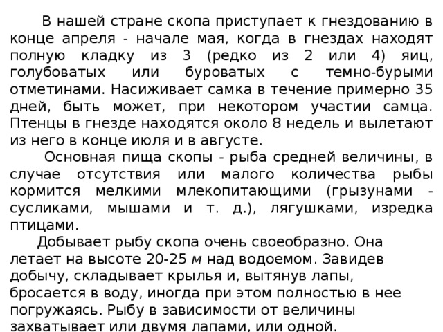  В нашей стране скопа приступает к гнездованию в конце апреля - начале мая, когда в гнездах находят полную кладку из 3 (редко из 2 или 4) яиц, голубоватых или буроватых с темно-бурыми отметинами. Насиживает самка в течение примерно 35 дней, быть может, при некотором участии самца. Птенцы в гнезде находятся около 8 недель и вылетают из него в конце июля и в августе.  Основная пища скопы - рыба средней величины, в случае отсутствия или малого количества рыбы кормится мелкими млекопитающими (грызунами - сусликами, мышами и т. д.), лягушками, изредка птицами.  Добывает рыбу скопа очень своеобразно. Она летает на высоте 20-25  м  над водоемом. Завидев добычу, складывает крылья и, вытянув лапы, бросается в воду, иногда при этом полностью в нее погружаясь. Рыбу в зависимости от величины захватывает или двумя лапами, или одной.  Хотя скопа кормится и полезными рыбами, вредной для рыбного хозяйства ее считать не следует, так как птица эта редкая и малочисленная. 