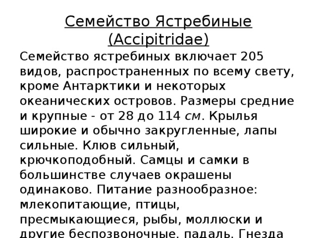 Семейство Ястребиные (Accipitridae) Семейство ястребиных включает 205 видов, распространенных по всему свету, кроме Антарктики и некоторых океанических островов. Размеры средние и крупные - от 28 до 114  см . Крылья широкие и обычно закругленные, лапы сильные. Клюв сильный, крючкоподобный. Самцы и самки в большинстве случаев окрашены одинаково. Питание разнообразное: млекопитающие, птицы, пресмыкающиеся, рыбы, моллюски и другие беспозвоночные, падаль. Гнезда на деревьях, на скалах, на земле. В кладке 1-6 яиц 