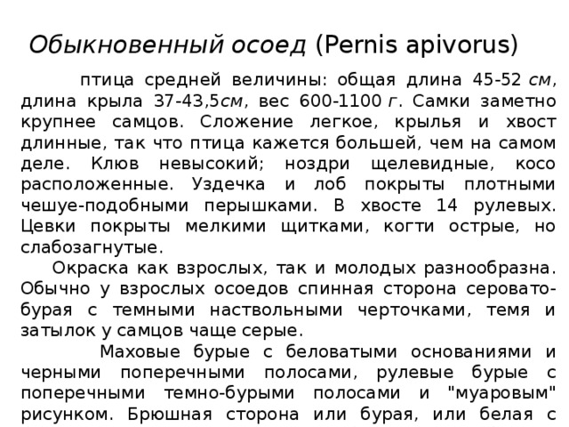 Обыкновенный осоед  (Pernis apivorus)  птица средней величины: общая длина 45-52  см , длина крыла 37-43,5 см , вес 600-1100  г . Самки заметно крупнее самцов. Сложение легкое, крылья и хвост длинные, так что птица кажется большей, чем на самом деле. Клюв невысокий; ноздри щелевидные, косо расположенные. Уздечка и лоб покрыты плотными чешуе-подобными перышками. В хвосте 14 рулевых. Цевки покрыты мелкими щитками, когти острые, но слабозагнутые.  Окраска как взрослых, так и молодых разнообразна. Обычно у взрослых осоедов спинная сторона серовато-бурая с темными наствольными черточками, темя и затылок у самцов чаще серые.  Маховые бурые с беловатыми основаниями и черными поперечными полосами, рулевые бурые с поперечными темно-бурыми полосами и 