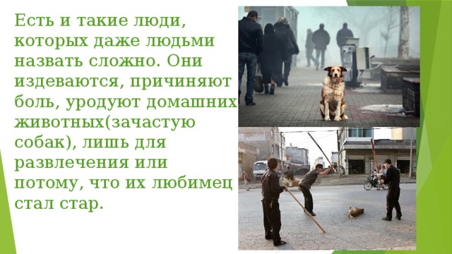 Есть и такие люди, которых даже людьми назвать сложно. Они издеваются, причиняют боль, уродуют домашних животных(зачастую собак), лишь для развлечения или потому, что их любимец стал стар. 