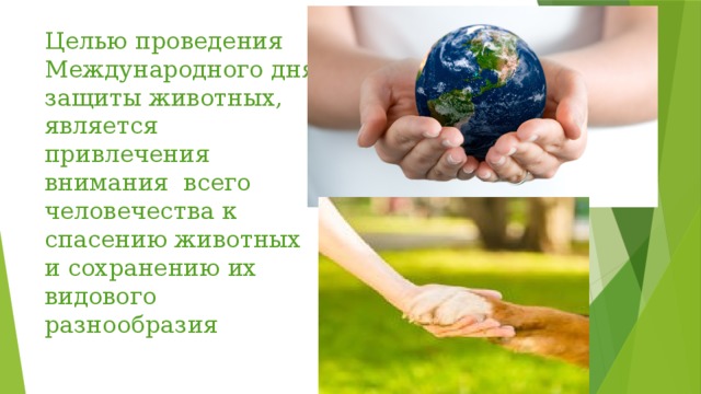 Целью проведения Международного дня защиты животных, является привлечения внимания всего человечества к спасению животных и сохранению их видового разнообразия 