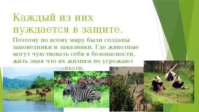 Каждый из них нуждается в защите. Поэтому по всему миру были созданы заповедники и заказники. Где животные могут чувствовать себя в безопасности, жить зная что их жизням не угрожают человеческие прихоти. 