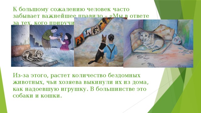 К большому сожалению человек часто забывает важнейшее правило – «Мы в ответе за тех, кого приручили!» Из-за этого, растет количество бездомных животных, чьи хозяева выкинули их из дома, как надоевшую игрушку. В большинстве это собаки и кошки. 