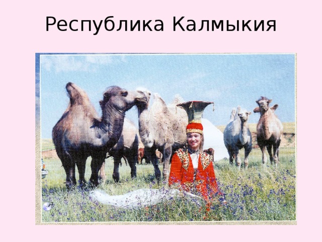 Республика Калмыкия 