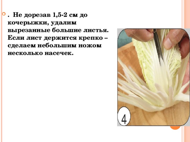 . Не дорезав 1,5-2 см до кочерыжки, удалим вырезанные большие листья. Если лист держится крепко – сделаем небольшим ножом несколько насечек. 