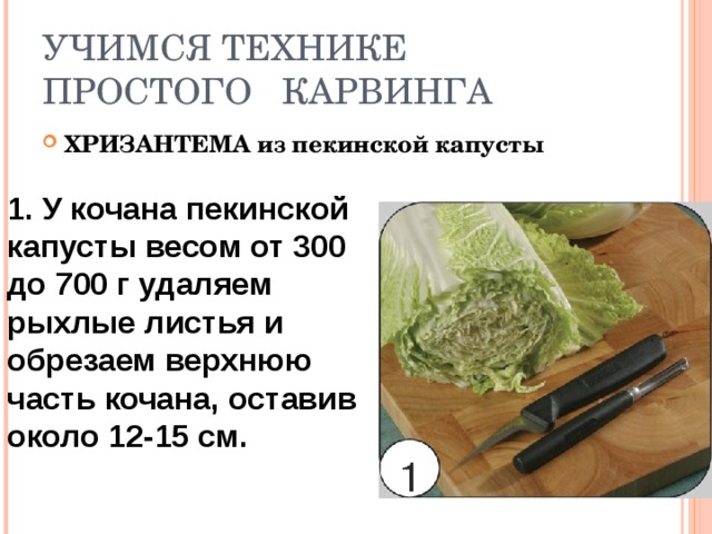 УЧИМСЯ ТЕХНИКЕ ПРОСТОГО КАРВИНГА ХРИЗАНТЕМА из пекинской капусты 1. У кочана пекинской капусты весом от 300 до 700 г удаляем рыхлые листья и обрезаем верхнюю часть кочана, оставив около 12-15 см. 
