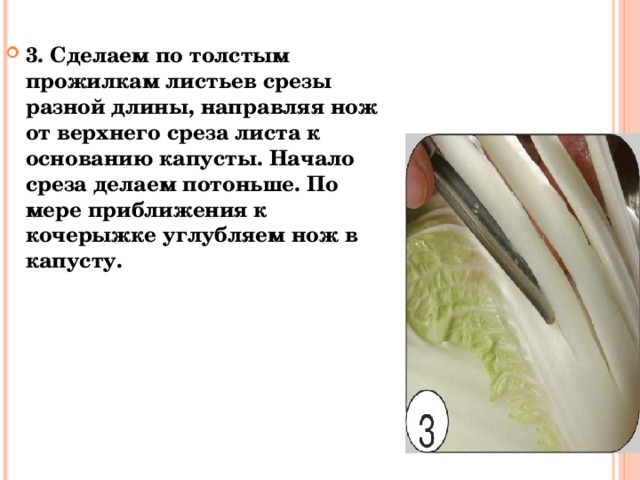 3. Сделаем по толстым прожилкам листьев срезы разной длины, направляя нож от верхнего среза листа к основанию капусты. Начало среза делаем потоньше. По мере приближения к кочерыжке углубляем нож в капусту. 