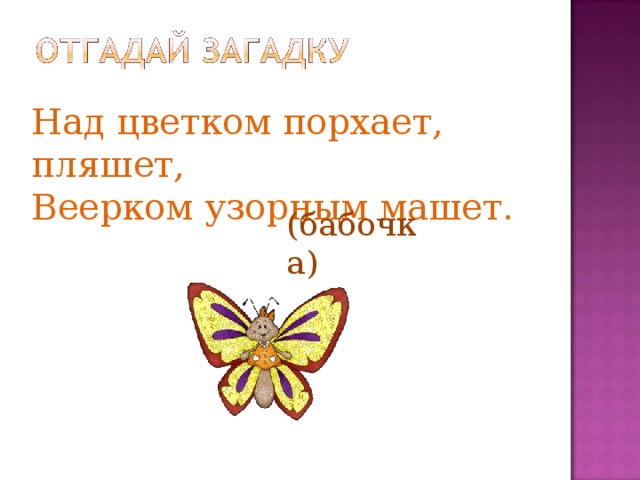 Над цветком порхает, пляшет, Веерком узорным машет. (бабочка) 