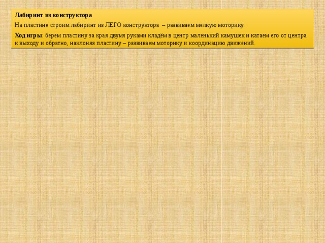 Лабиринт из конструктора На пластине строим лабиринт из ЛЕГО конструктора – развиваем мелкую моторику. Ход игры : берем пластину за края двумя руками кладём в центр маленький камушек и катаем его от центра к выходу и обратно, наклоняя пластину – развиваем моторику и координацию движений. 