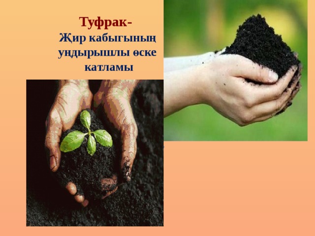 Туфрак-   Җир кабыгының  уңдырышлы өске  катламы  