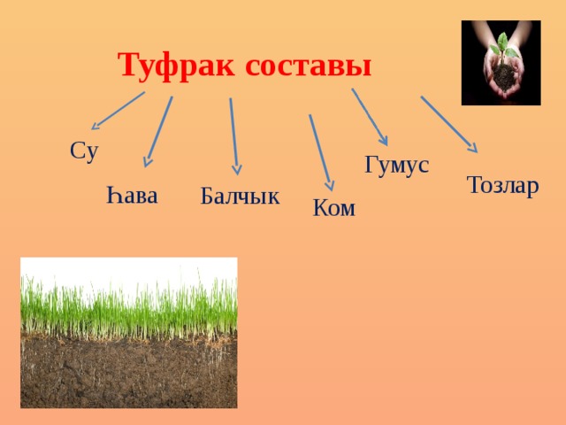 Туфрак составы Су Гумус Тозлар Һава Балчык Ком  