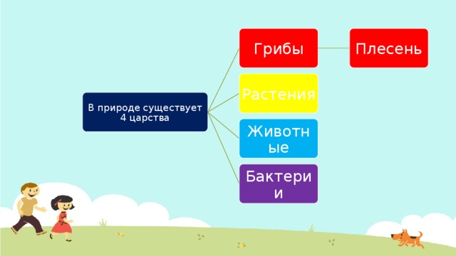 Грибы Плесень Растения В природе существует 4 царства Животные Бактерии 