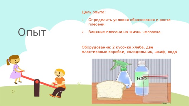 Опыт Цель опыта: Определить условия образования и роста плесени. Влияние плесени на жизнь человека. Оборудование: 2 кусочка хлеба, две пластиковые коробки, холодильник, шкаф, вода 