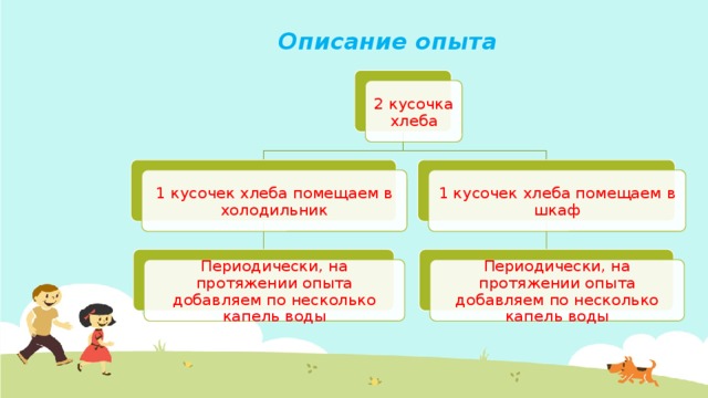 Описание опыта 2 кусочка хлеба 1 кусочек хлеба помещаем в холодильник 1 кусочек хлеба помещаем в шкаф Периодически, на протяжении опыта добавляем по несколько капель воды Периодически, на протяжении опыта добавляем по несколько капель воды 