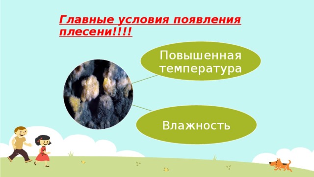 Главные условия появления плесени!!!! Повышенная температура Влажность 
