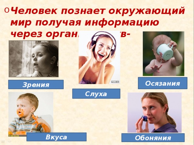 Человек познает окружающий мир получая информацию через органы чувств- Осязания Зрения Слуха Вкуса Обоняния 