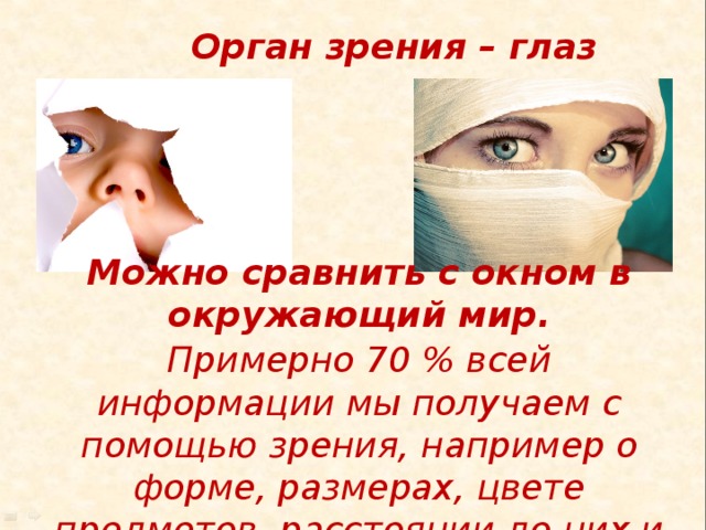 Орган зрения – глаз Можно сравнить с окном в окружающий мир. Примерно 70 % всей информации мы получаем с помощью зрения, например о форме, размерах, цвете предметов, расстоянии до них и др. 