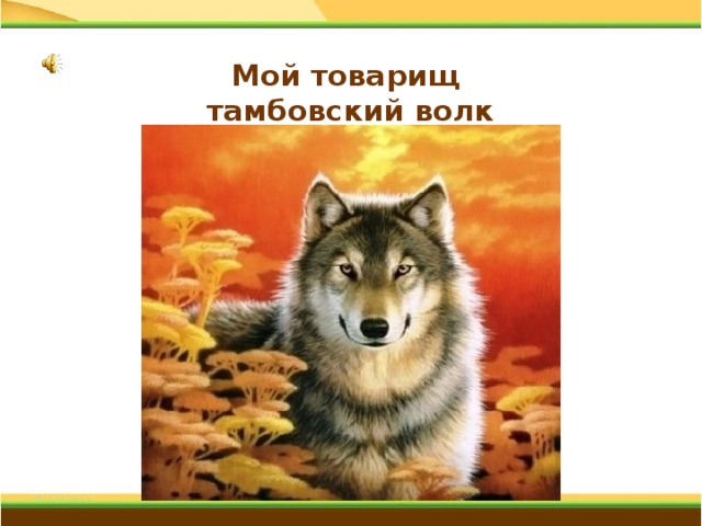 Мой товарищ  тамбовский волк     