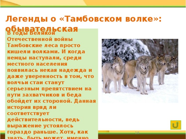 Легенды о «Тамбовском волке»: обывательская В годы Великой Отечественной войны Тамбовские леса просто кишели волками. И когда немцы наступали, среди местного населения появилась некая надежда и даже уверенность в том, что волчьи стаи станут серьезным препятствием на пути захватчиков и беда обойдет их стороной. Данная история вряд ли соответствует действительности, ведь выражение устоялось гораздо раньше. Хотя, как знать, быть может, именно поэтому фраза «тамбовский волк тебе товарищ» в дальнейшем приобрела столь широкое распространение.  