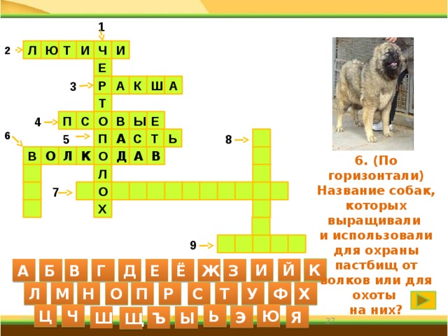 1 И Ч И 2 Л Ю Т Е Р А К Ш А 3 Т О С 4 Е П В Ы 6 А П Ь Т 5  8 С К Л О Д  В А В О 6. (По горизонтали) Название собак, которых выращивали и использовали для охраны пастбищ от волков или для охоты на них?   Л           О   7 Х    9      К И Й А Б В Г Д Е Ё Ж З С Л М Н О П Р Т Х У Ф Ц Ч Ь Ю Я Э Ш Ъ Ы Щ 27 27 