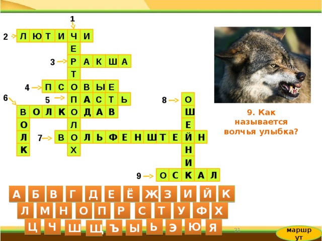 1 Ч Л Ю Т И И 2 Е Р А К 3 Ш А Т Е 4 С Ы В О П 6 5 Ь Т П 8 О С А Л О В Ш О А Д В К 9. Как называется волчья улыбка? Л О Е Е Л Н Ш Т Е Й Н Ь О В Ф 7 Л К Н Х И Л А О 9 К С И Й К А Б В Г Д Е Ё Ж З С Л М Н О П Р Т У Ф Х Ю Ц Ч Ь Я Э Ш Ъ Ы Щ 31 маршрут 31 