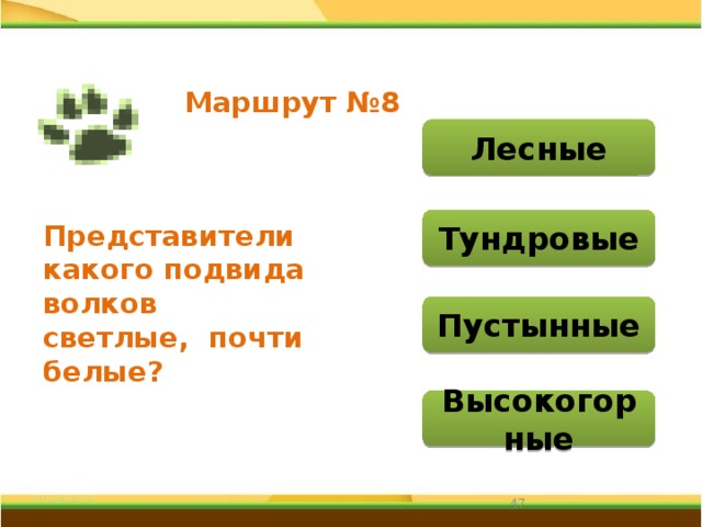 Маршрут №8 Лесные Тундровые Представители какого подвида волков светлые,  почти белые? Пустынные Высокогорные 31 