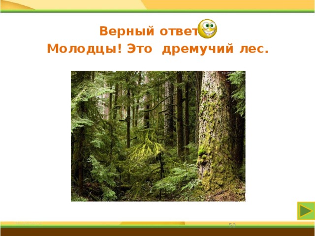 Верный ответ Молодцы! Это дремучий лес. 31 