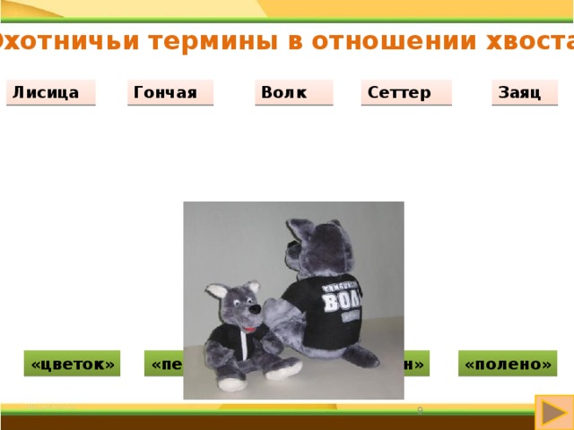 Охотничьи термины в отношении хвоста Лисица  Заяц  Гончая  Сеттер  Волк  «труба» «цветок» «гон» «перо» «полено» 6 