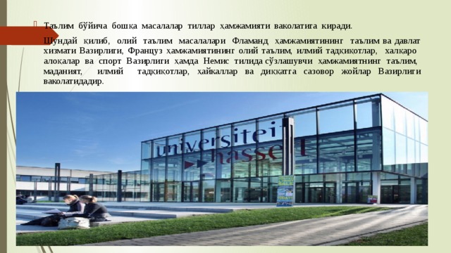 Таълим бўйича бошқа масалалар тиллар ҳамжамияти ваколатига киради. Шундай қилиб, олий таълим масалалари Фламанд ҳамжамиятининг таълим ва давлат хизмати Вазирлиги, Француз ҳамжамиятининг олий таълим, илмий тадқиқотлар, халқаро алоқалар ва спорт Вазирлиги ҳамда Немис тилида сўзлашувчи ҳамжамиятнинг таълим, маданият, илмий тадқиқотлар, ҳайкаллар ва диққатга сазовор жойлар Вазирлиги ваколатидадир. 