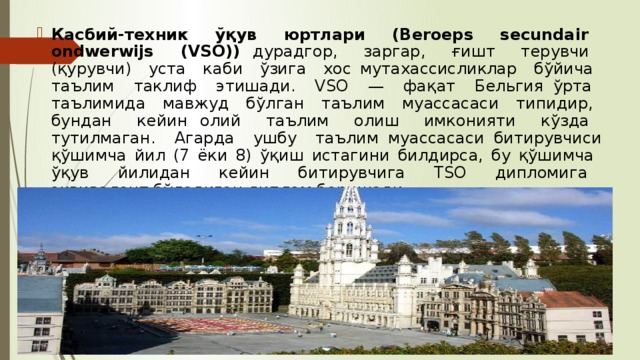 Касбий-техник ўқув юртлари (Beroeps secundair ondwerwijs (VSO)) дурадгор, заргар, ғишт терувчи (қурувчи) уста каби ўзига хос мутахассисликлар бўйича таълим таклиф этишади. VSО — фақат Бельгия ўрта таълимида мавжуд бўлган таълим муассасаси типидир, бундан кейин олий таълим олиш имконияти кўзда тутилмаган. Агарда ушбу таълим муассасаси битирувчиси қўшимча йил (7 ёки 8) ўқиш истагини билдирса, бу қўшимча ўқув йилидан кейин битирувчига ТSО дипломига эквивалент бўладиган диплом беришади. 