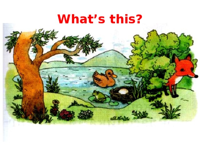 What’s this?  