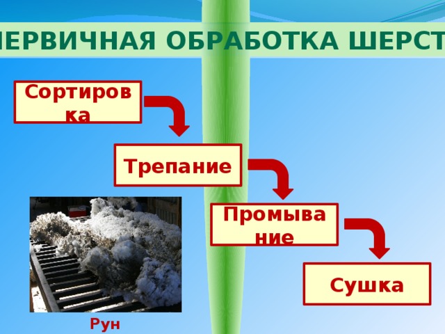 Первичная обработка шерсти Сортировка Трепание Промывание Сушка Руно