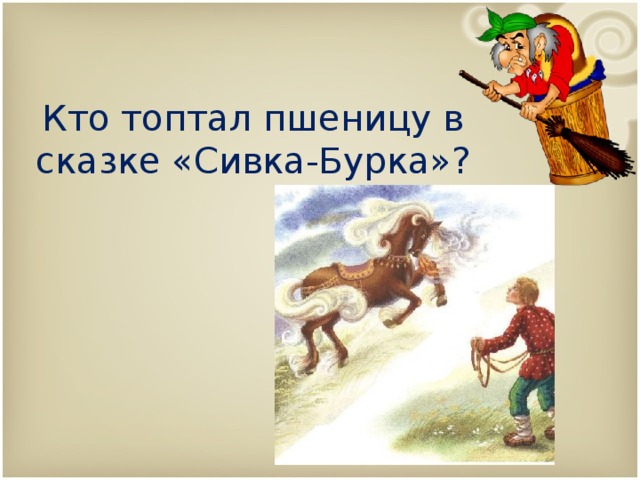  Кто топтал пшеницу в сказке «Сивка-Бурка»?  