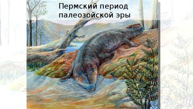 Пермский период палеозойской эры Pavel Riha 